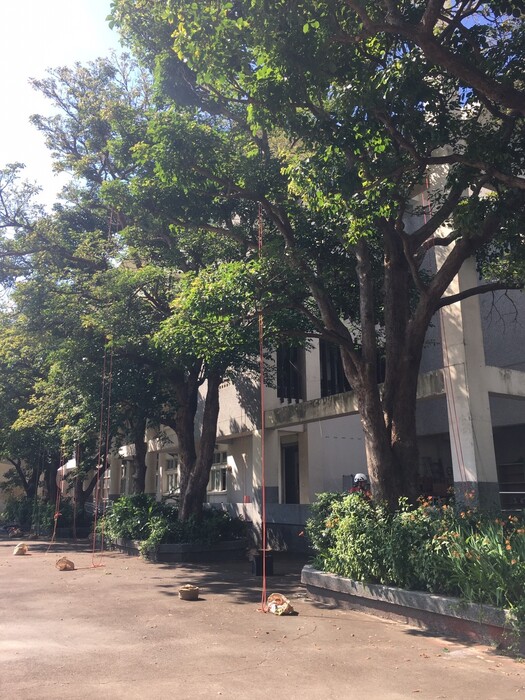 圖片說明