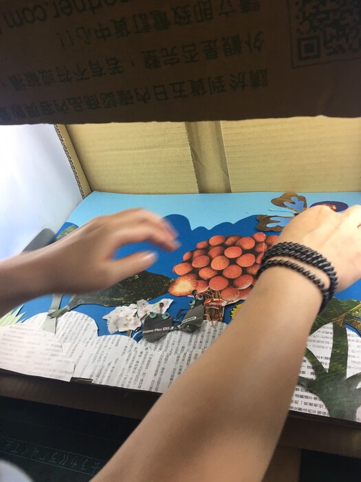 圖片說明